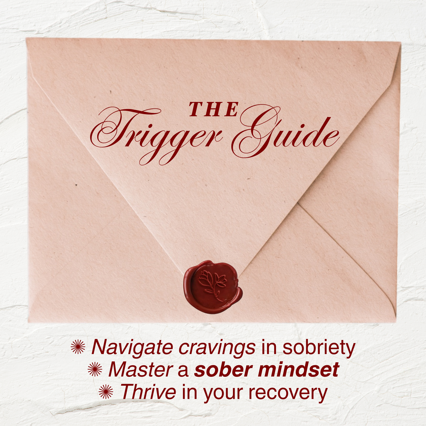 The Trigger Guide: Decode Cravings & Stay Sober For Good